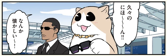 久々のにほ〜〜〜ん‼