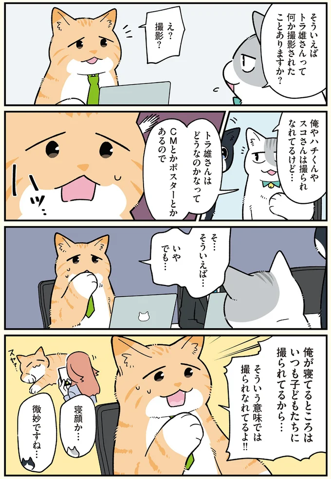 トラ雄さんって何か撮影されたことありますか？