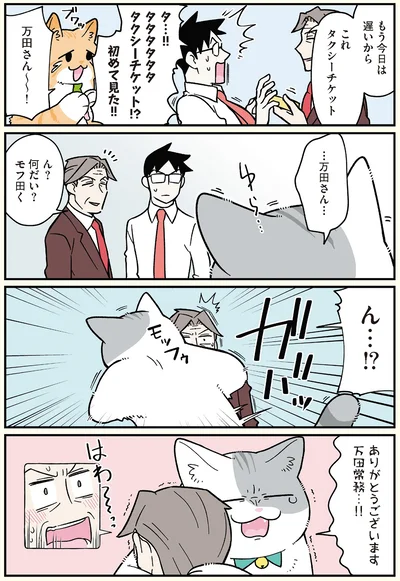 これタクシーチケット