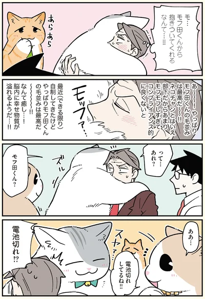 やっぱりモフ田くんの毛並みは最高だ〜〜‼