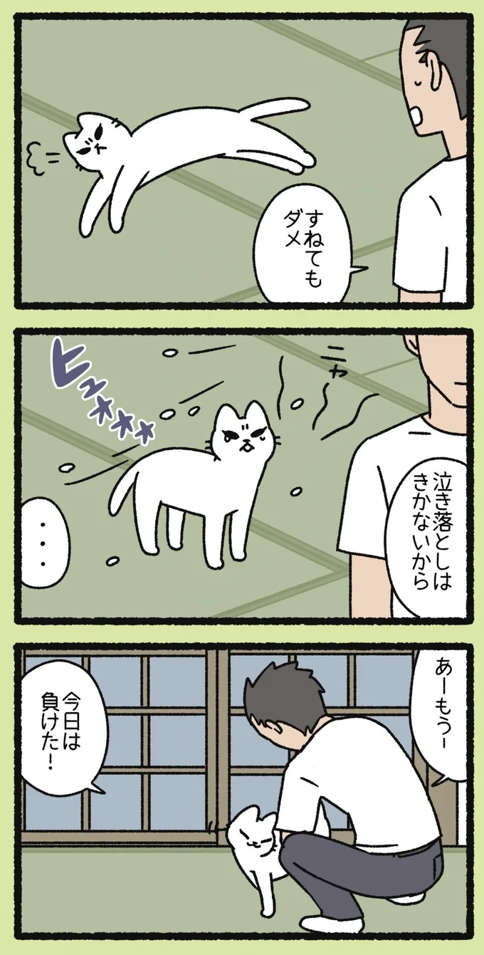 すねてもダメ