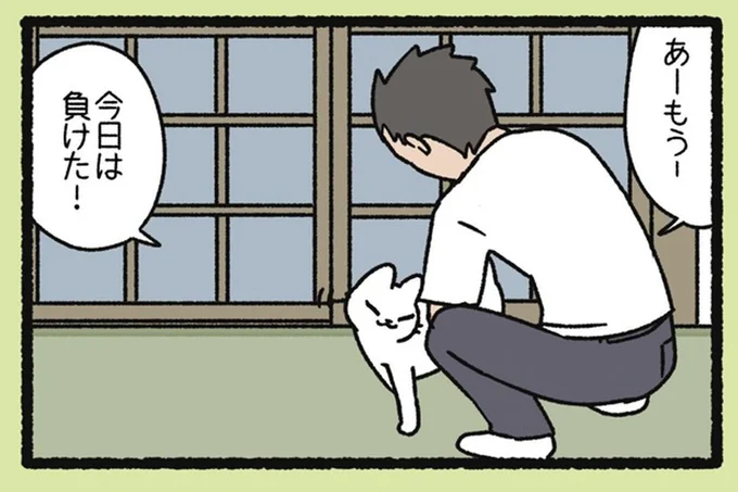 「今日は負けた!」外出する飼い主さんを必死で引き留めるねこの行動