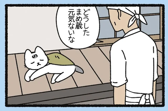 確信犯がバレた！ 「とうふこぞう」の元気がなくて心配していたら