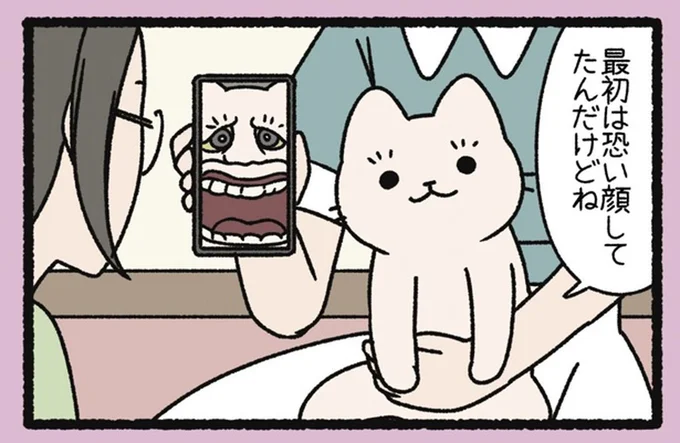 野良から室内ねこになったから? 顔が変わりすぎるねこようかい「うわん」