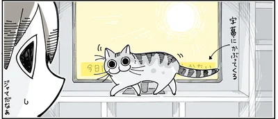 ジャマだなぁ