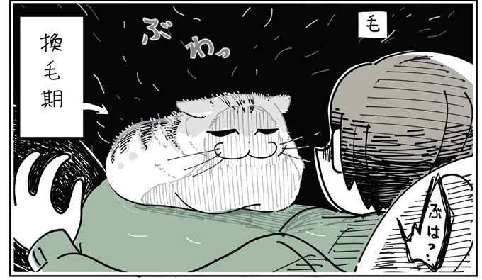 換毛期