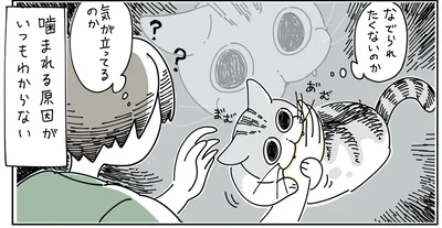 噛まれる原因がいつもわからない