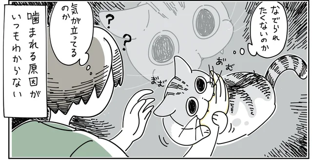 撫で方が悪かった？ 唐突に噛まれる猫のなでなでタイム
