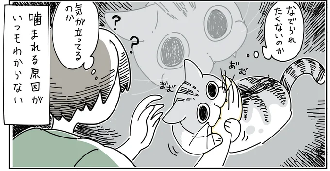 噛まれる原因がいつもわからない