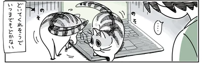 いつまでもどかない