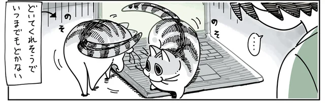どいてくれそうでどかない！ キーボードの上がお気に入りの猫