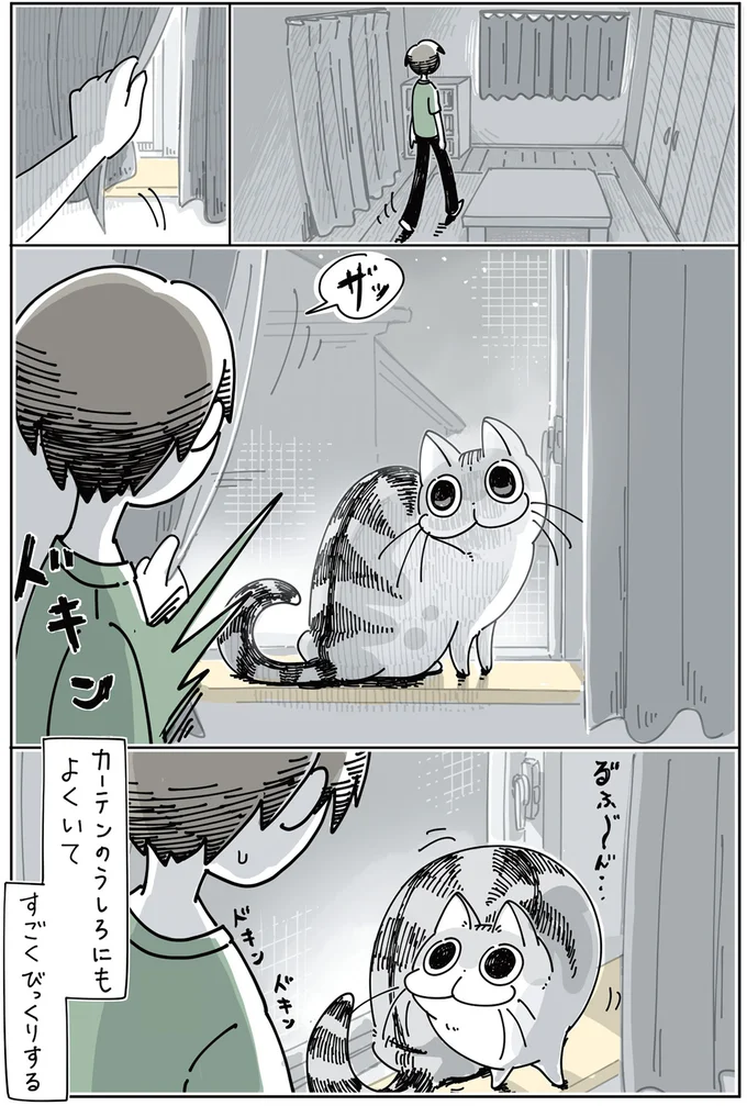 カーテンのうしろにもよくいて、すごくびっくりする