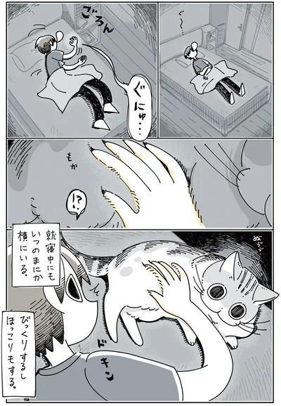 就寝中にもいつのまにか横にいる
