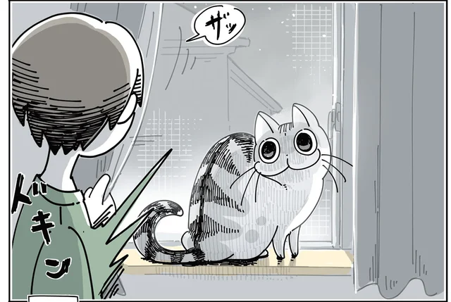 びっくり＆ほっこり。暗いところから現れる猫に驚かされっぱなしです