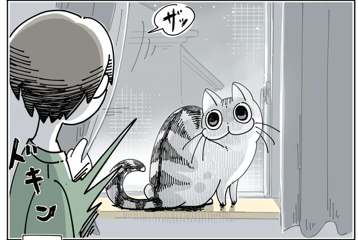 びっくり＆ほっこり。暗いところから現れる猫に驚かされっぱなしです