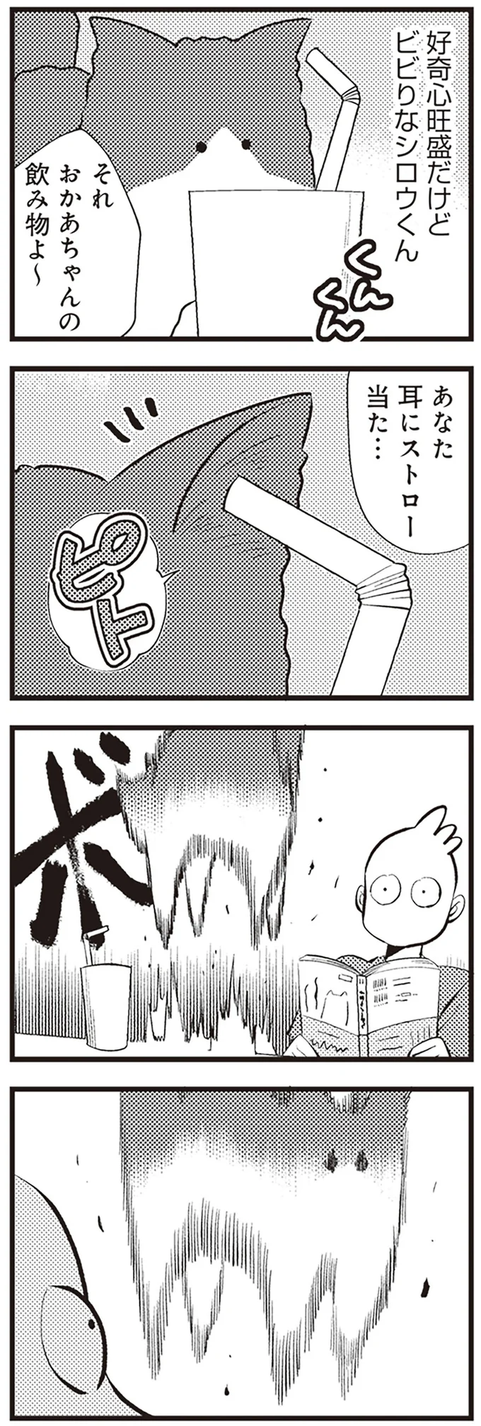 好奇心旺盛だけどビビりなシロウくん