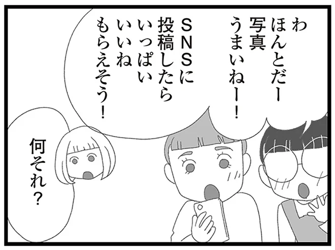 SNSに投稿したらいっぱいいいねもらえそう!