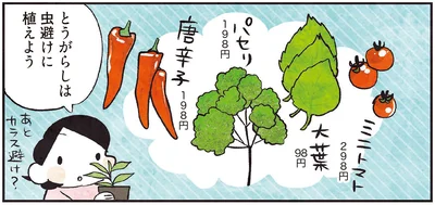 とうがらしは虫避けに植えよう
