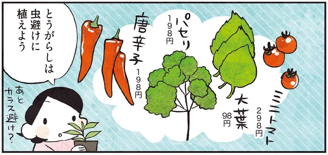 【しあわせ趣味時間】次の夏は何を育てよう？ 新鮮野菜を楽しむ「家庭菜園」