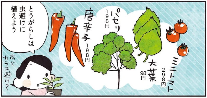 【しあわせ趣味時間】次の夏は何を育てよう？ 新鮮野菜を楽しむ「家庭菜園」