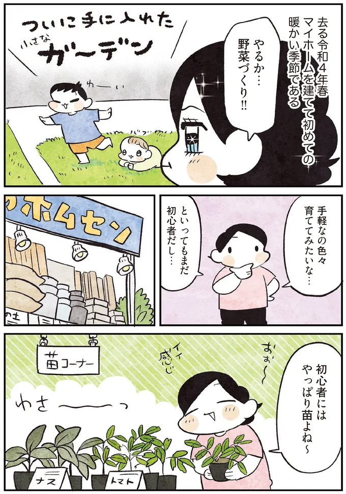 手軽なの色々育ててみたいな…