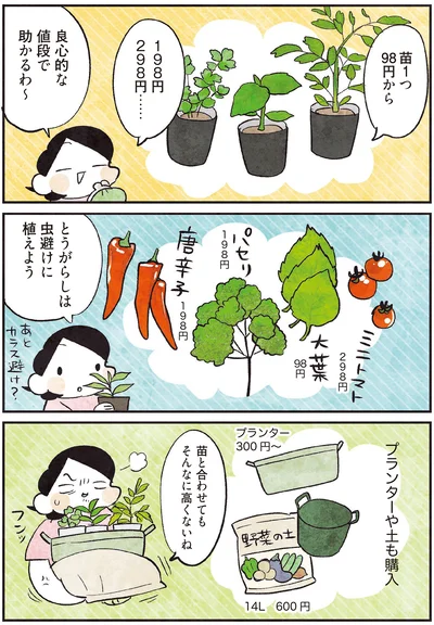 プランターや土も購入