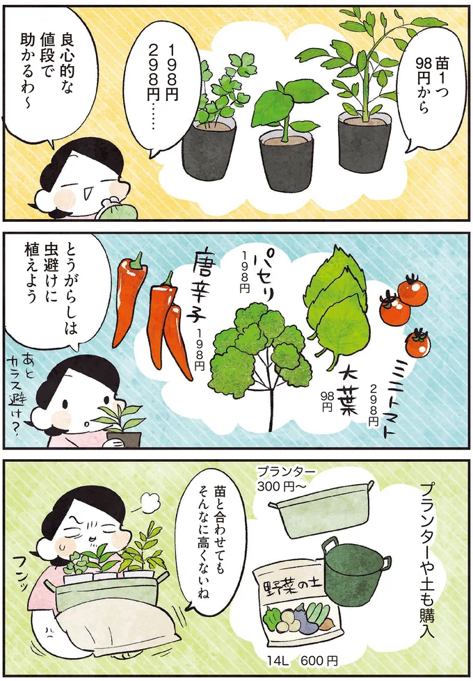 プランターや土も購入