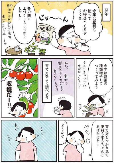 今年は野菜の種類増やしてつくってみよう