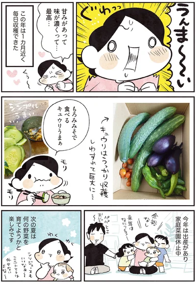 次の夏は何の野菜を育てようかと楽しみです