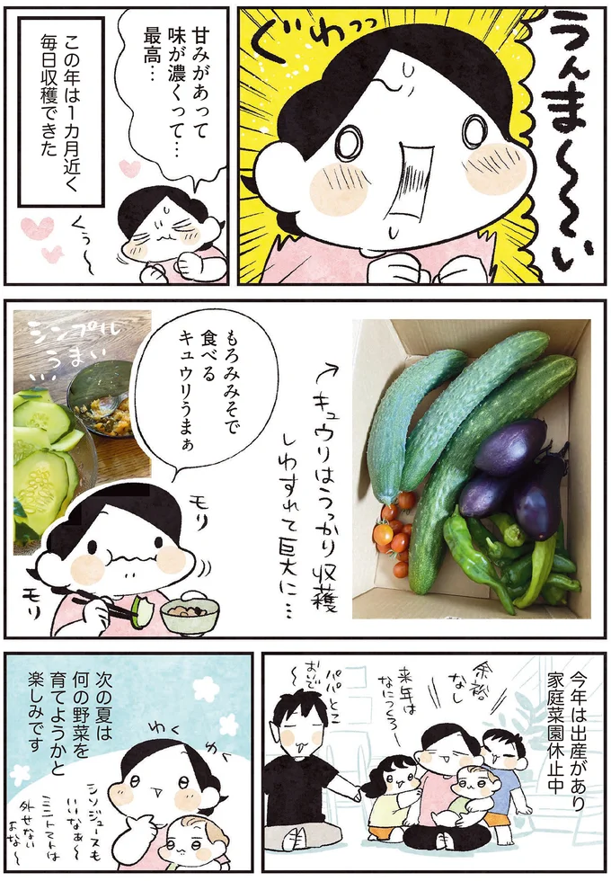 次の夏は何の野菜を育てようかと楽しみです