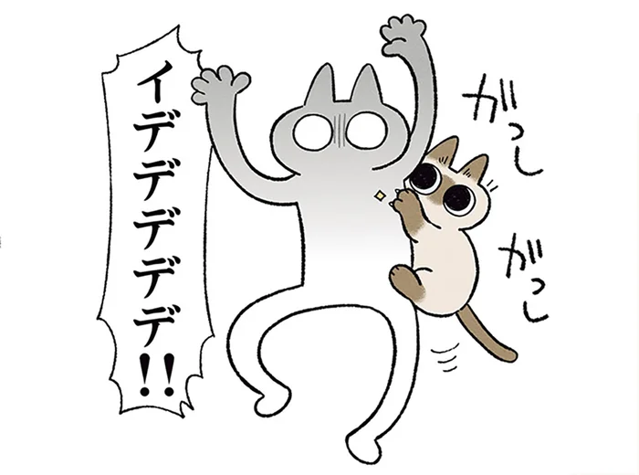 登るときがめっちゃ痛い！ 小さい頃から飼い主の体を駆け上がるのが好きな猫