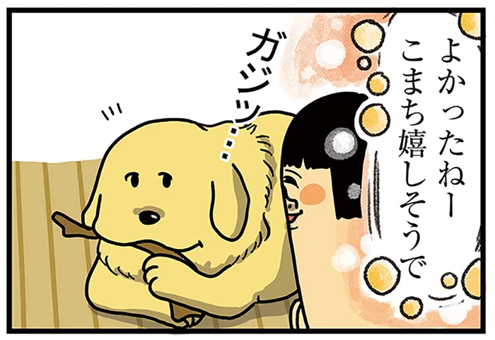 犬の「自慢モード」が怖すぎる！ 大きな乾燥肉を咥え周りをうろつく危機的状況／まめきちまめこニートの日常 こまちとタビ2（1）