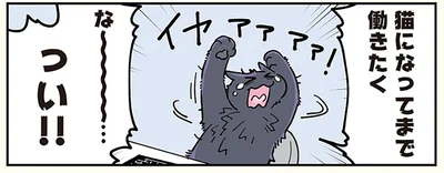 猫になってまで…