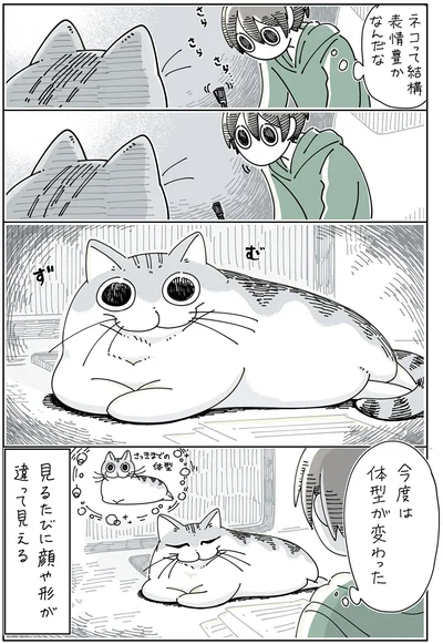 『夜は猫といっしょ 3』より