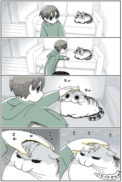 『夜は猫といっしょ 3』より