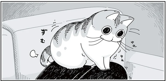 本当にくつろげてる？ 不思議な場所で落ち着こうとする猫