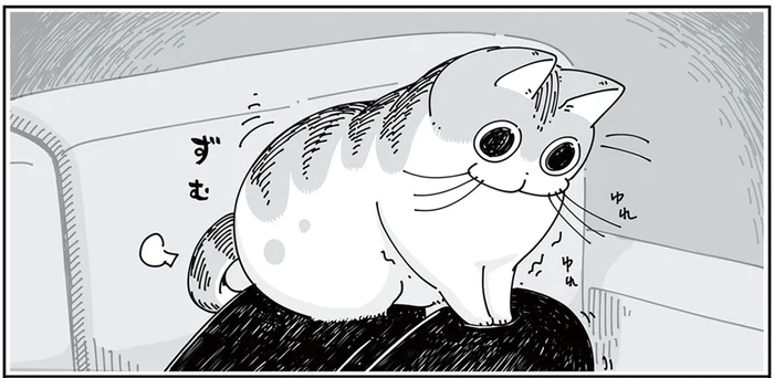 本当にくつろげてる？ 不思議な場所で落ち着こうとする猫