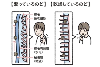 潤っているのどと乾燥しているのどの違いとは？