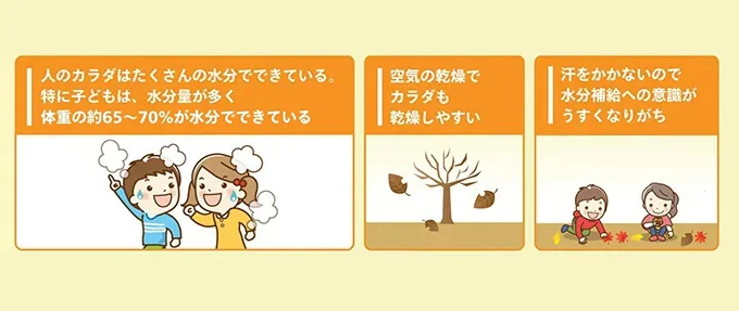冬も水分補給が大切な理由