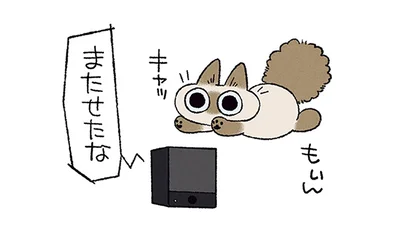低い声にビックリ！