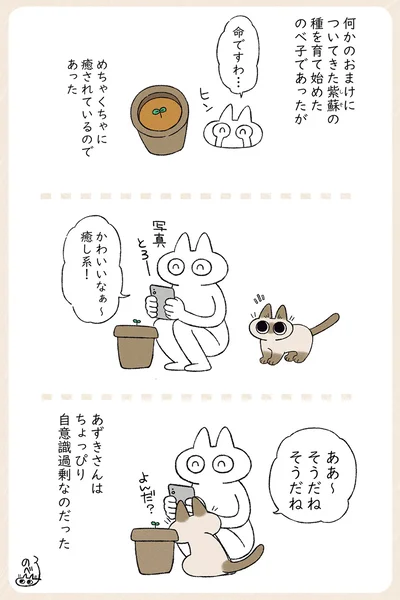 ちょっぴり自意識過剰