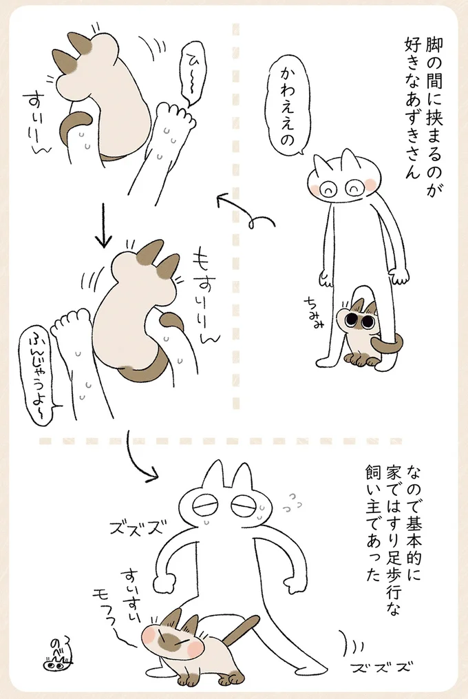 家ではすり足歩行