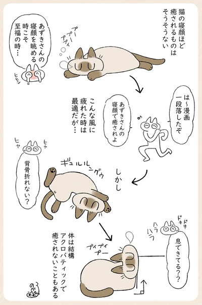 寝顔で癒されよ