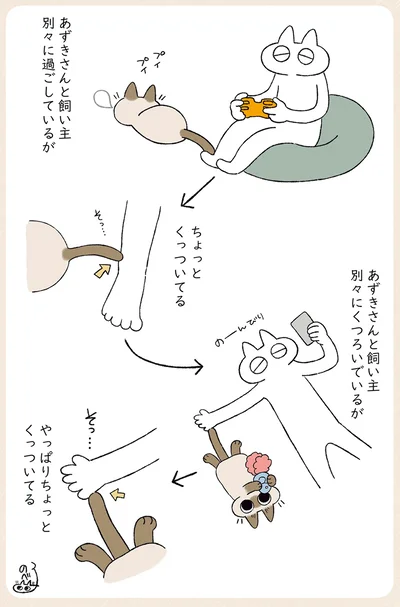 別々に過ごしているが