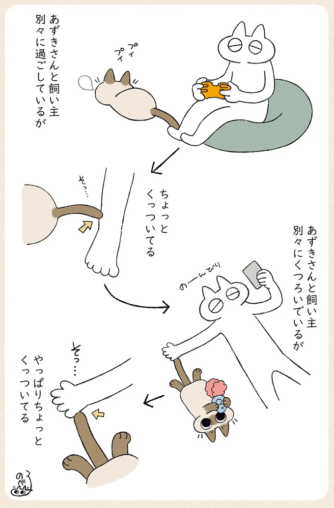 別々に過ごしているが