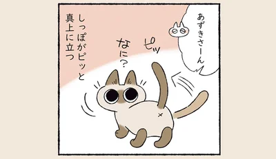可愛いしっぽ