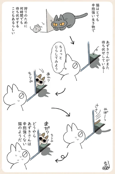 辛抱強くない猫のようだ