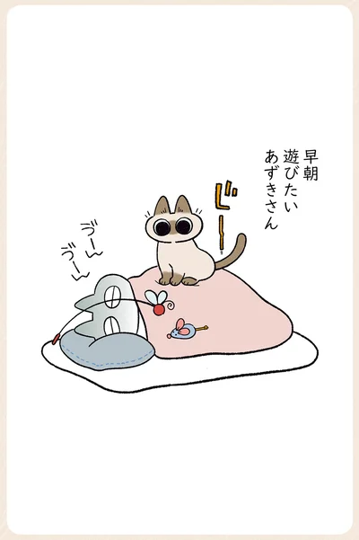 遊びたいあずきさん
