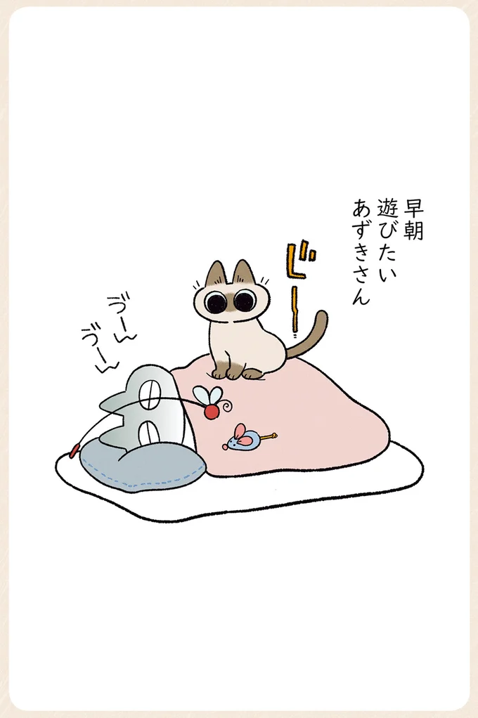 遊びたいあずきさん