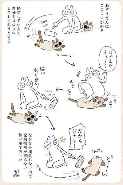 全然掃除が捗らない